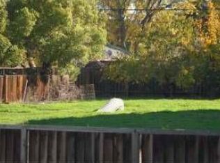 1590 Valota Rd, Redwood City, CA 94061