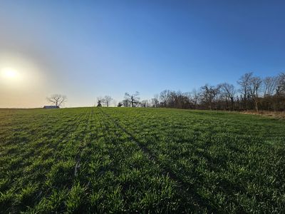 2395 Gunn Rd, Adams, TN, 37010