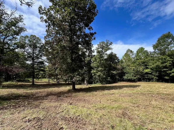 (undisclosed Address), Mammoth Spring, AR 72554