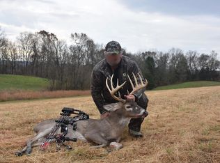 92 Grasty Rd, Golconda, IL 62938