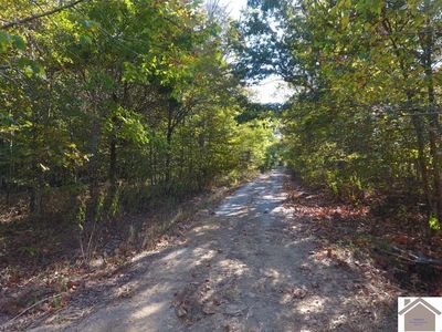 1144 Pisgah Road/hwy 1436, Smithland, KY, 42081