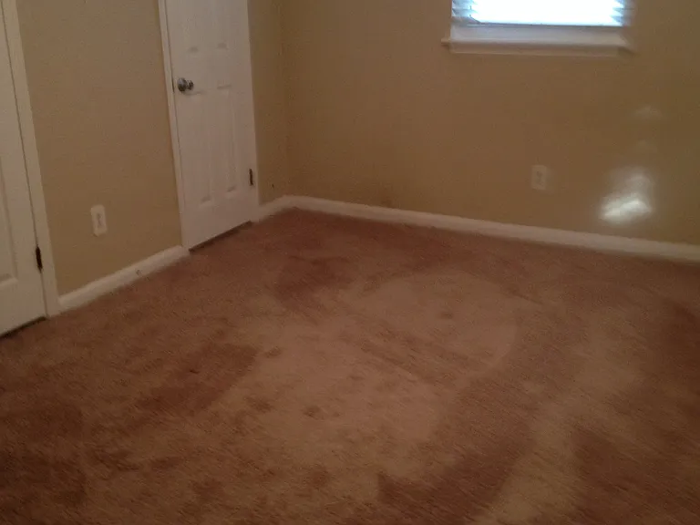 3712 Silina Dr — Photo 10