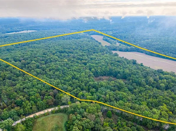 21045 County Road 3560 St, Saint James, MO 65559