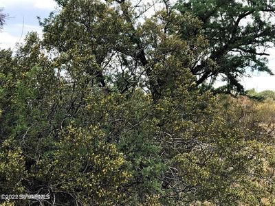 5940 N Kramer Ct, Rimrock, AZ, 86335