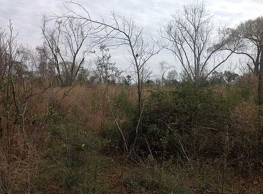 3rd image of Mitch Rd