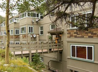 9366 Fall River Rd UNIT 205, Idaho Springs, CO 80452