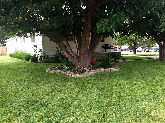 Yard and North Side
