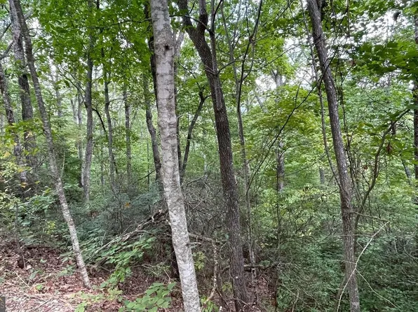 20 Enchanted Rdg, Hayesville, NC 28904