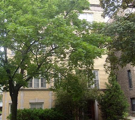 1st image of 2060 W Farwell Ave APT 3