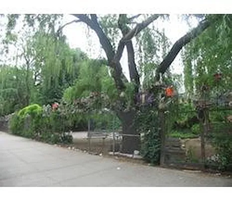 Rented by DSA Realty | media 7