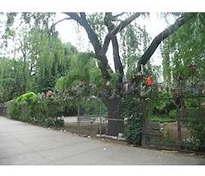 Rented by DSA Realty