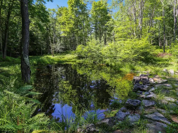 40 Bobcat Rd, Davis, WV 26260