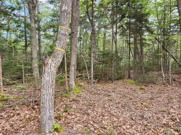 36 Eastwood Court, Bristol, ME 04539