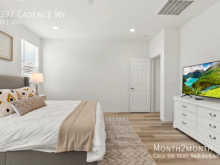 4397 Cadence Way — Photo 12