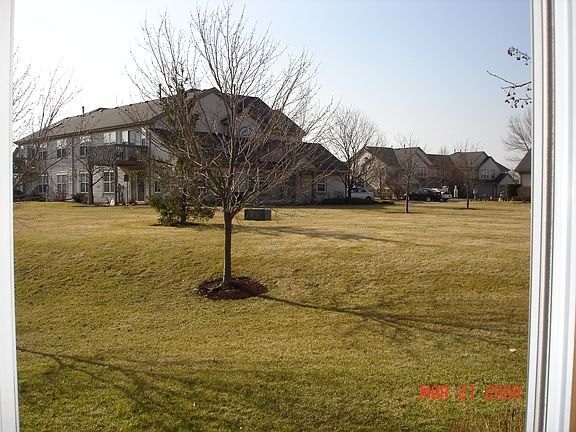 Park in the backyard