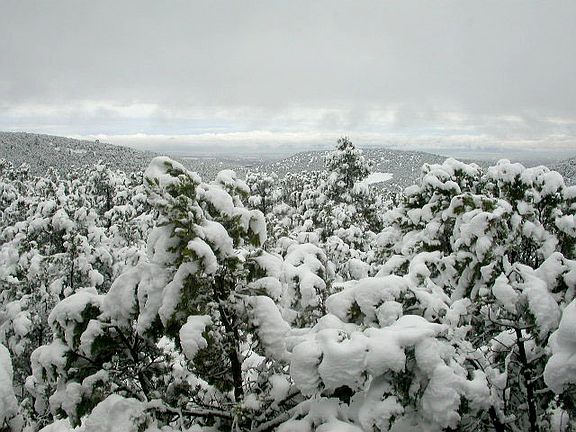 5th image of 2109 Paseo Ponderosa