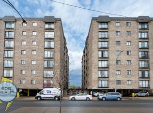 The American Elm!, Elmwood Park, IL 60707