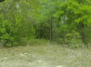 Ooo Red Marlin Ave, Brooksville, FL 34614