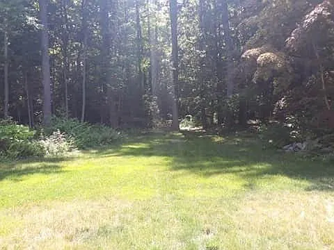 1 bed, 1000 sqft, $1,700 — Photo 3