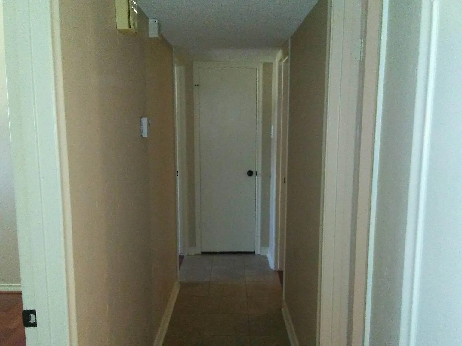 2 bed, 1600 sqft, $2,000 — Photo 2
