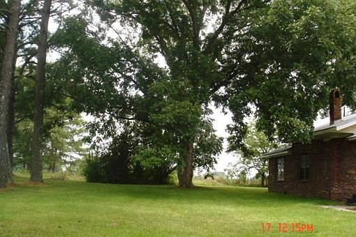 3rd image of 6319 Highway 490