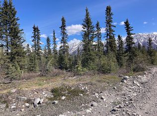 TRACTS 15 & 16 Kennicott River Land Tracts, McCarthy, AK 99588