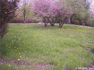 2nd image of 12596 Green Acres Dr