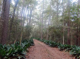 115 McMurrey Rd, Coldspring, TX 77331