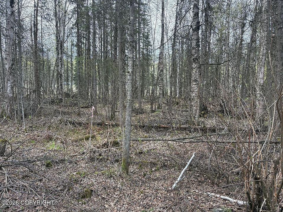 2nd image of L144 White Birch Rd