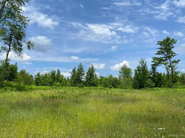 Wells Grade Rd, Sagola, MI 49881