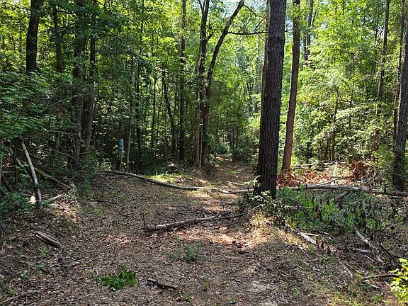 2nd image of Persimmon Rd