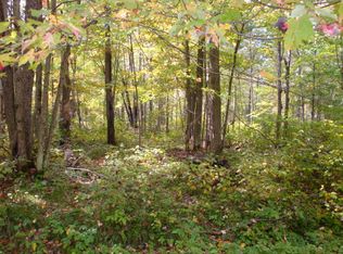 Lundy Ln, Woodruff, WI 54568