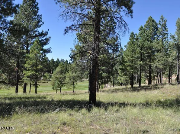2900 S Solitaires Canyon Dr #345, Flagstaff, AZ 86005
