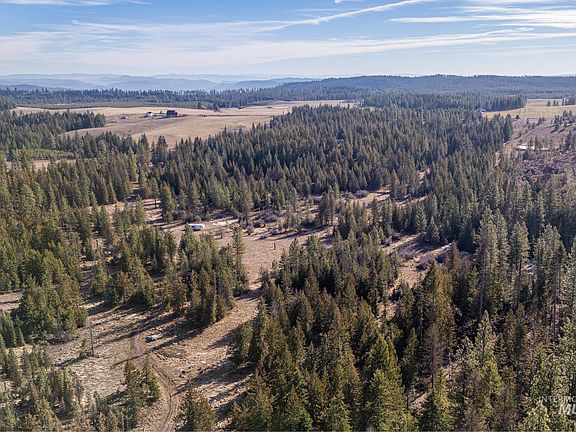 2nd image of Freeman Creek Rd