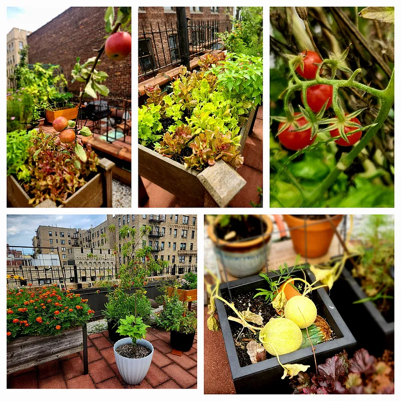 854 West 181st St Unit 3H  