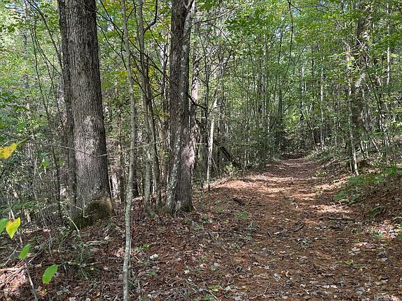 4th image of Bear Hollow Rd