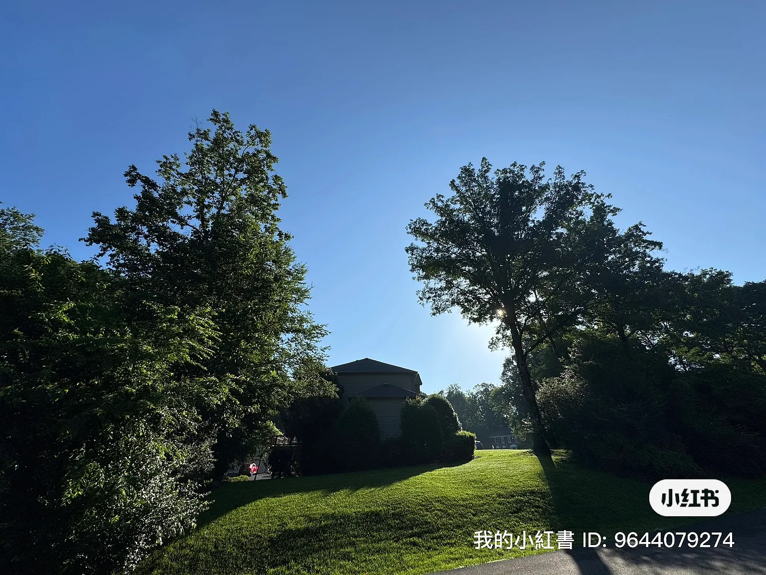 2 bed, 1.5 bath, 2000 sqft, $1,100 — Photo 1
