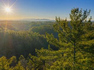 157 Roaring Forks Ln, Ellijay, GA 30540