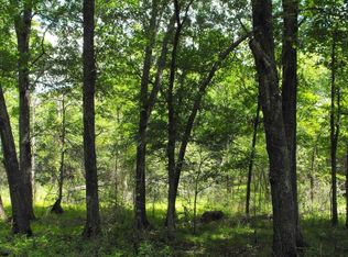 164 Reed Schoolhouse Rd LOT 164, Sevierville, TN 37876