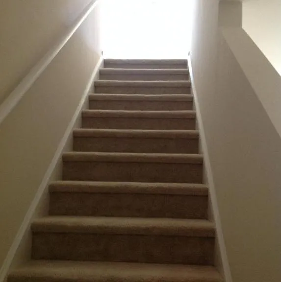 1013 Balmore Dr — Photo 9