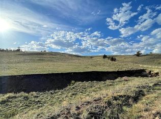 691 Cathy Dr, Hartsel, CO 80449