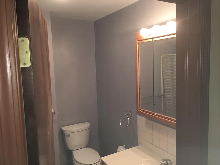 Hall Bath Toilet