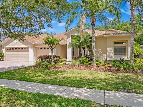 17359 Emerald Chase Dr, Tampa, FL 33647