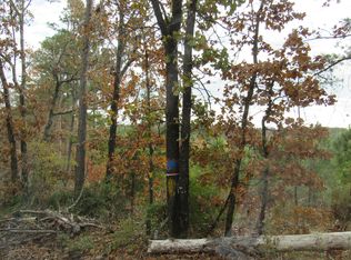 Tbd Cr #1463, Hughes Springs, TX 75656