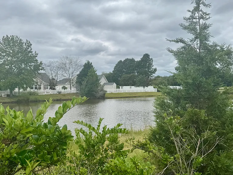 337 Golan Cir #C — Photo 34