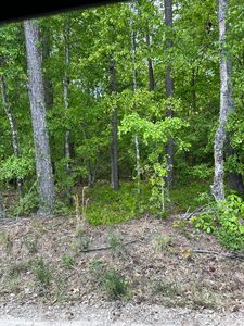 5120 Benenhaley Rd, Dalzell, SC, 29040