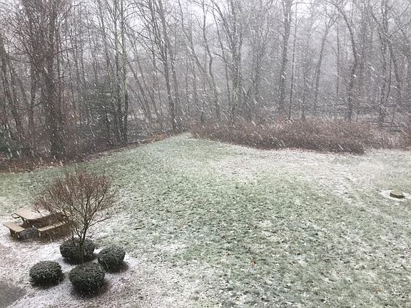 Private and Serene yard with picnic tables.