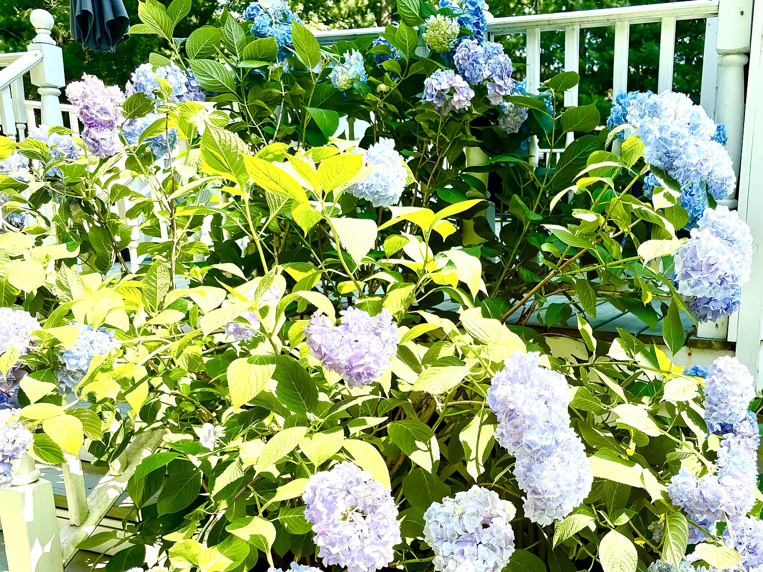 Newly renovated , village fringe beach house in East Hampton — Photo 4