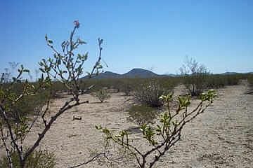 3rd image of 53601 S Centennial Circle #10