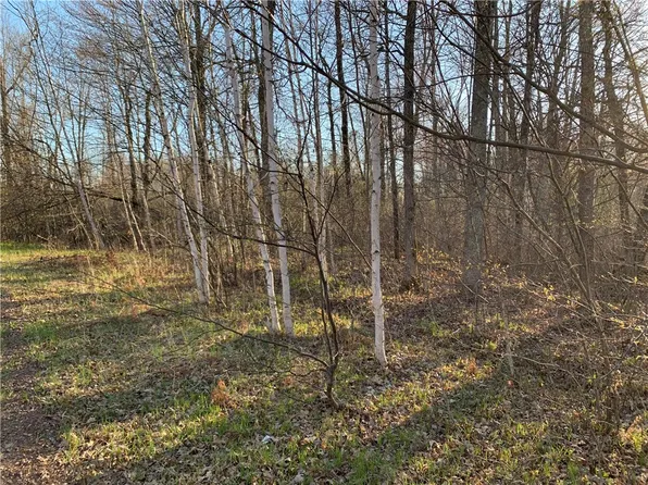 Lot 1 Bear Paw Road, Bruce, WI 54819